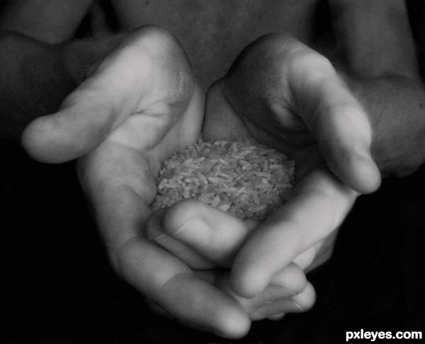 Creation of Our Daily Bread : Step 5